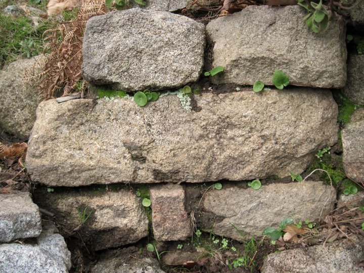 Pedemonte by S. Ferruzzi