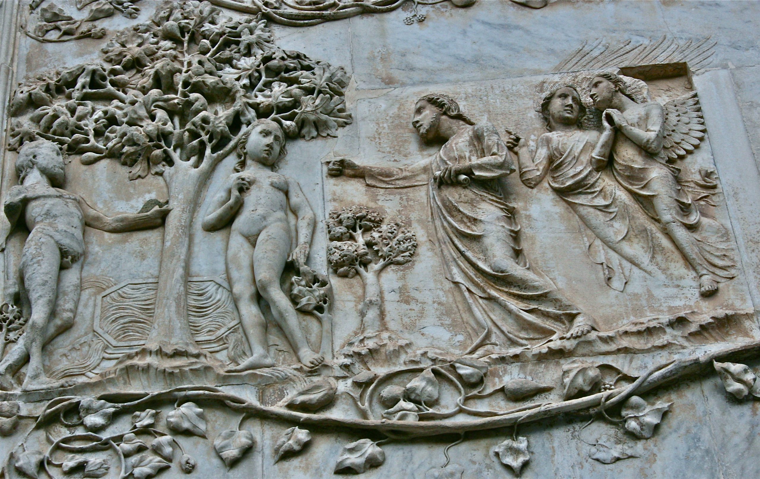 Il fico, ovvero l’albero della conoscenza del bene e del male