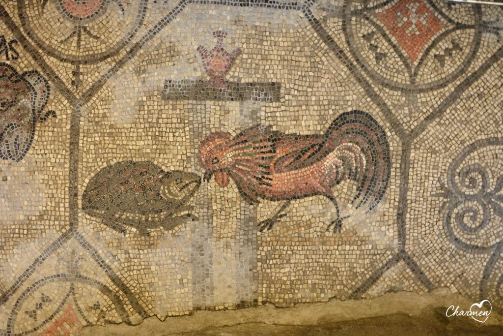 Il gallo e la tartaruga