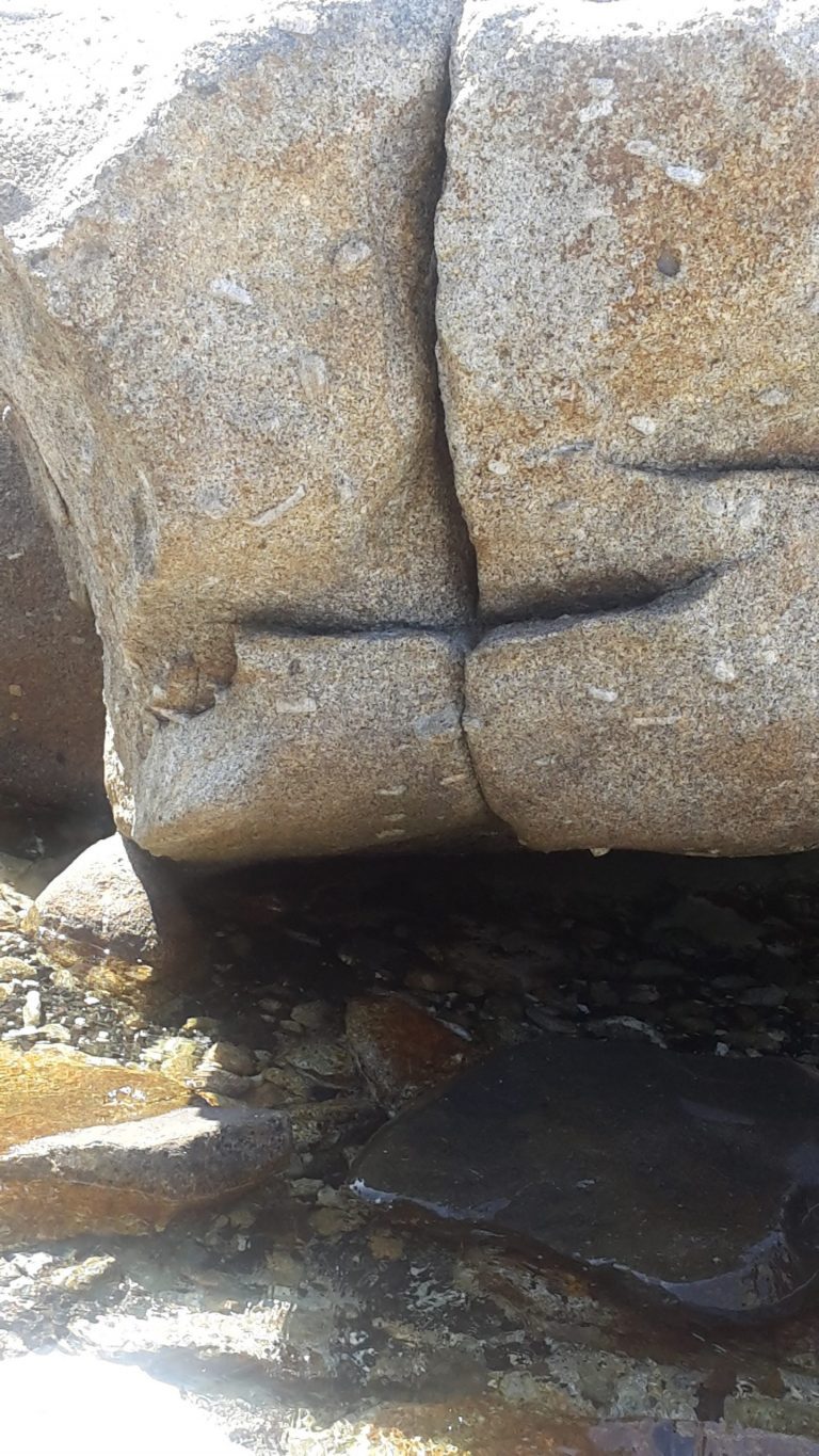 Tre falconi da Pedemonte