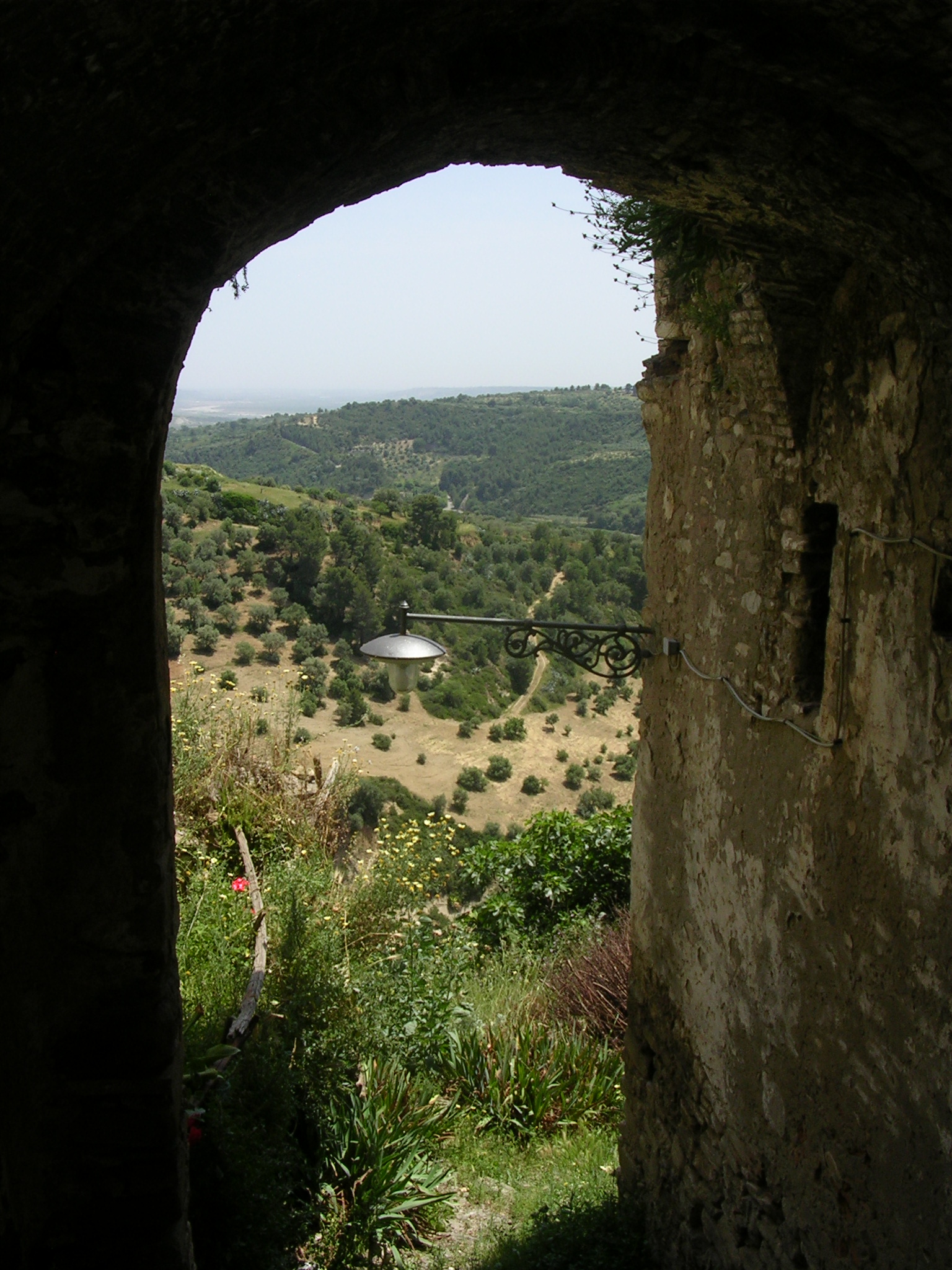 Maggio lucano: l’abbattimento della “cima”