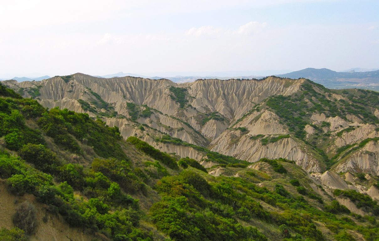 Maggio lucano: l’abbattimento della “cima”