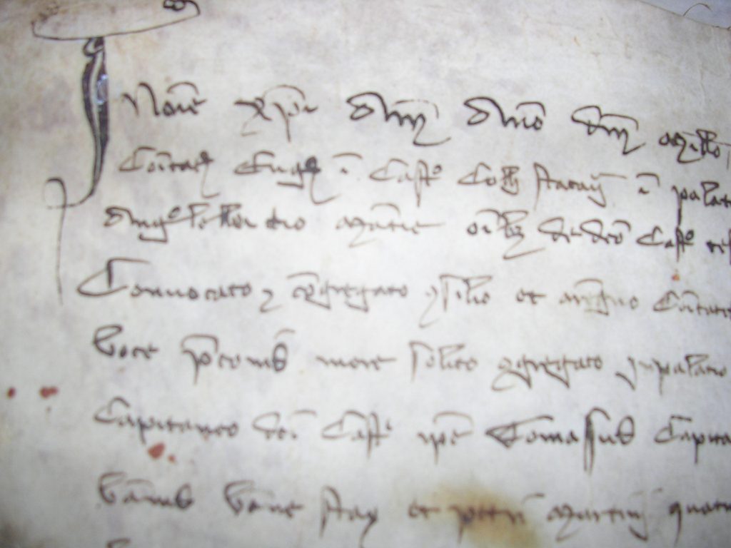 Medieval parchments